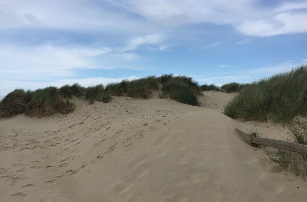 Ansetzer im Urlaub